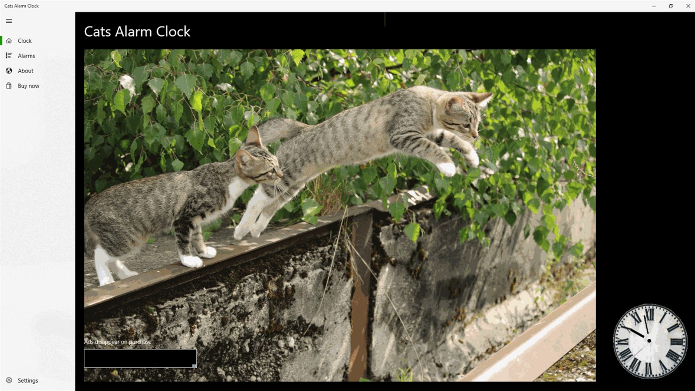 #2. Cats Alarm Clock (Windows) 由: Alphawolf Software Limited