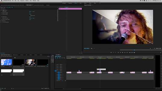 Learn Adobe Premiere Pro Effects screenshot 4