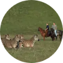 Nyika National Park Wallpaper New Tab icon