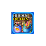 Find It Hidden Object