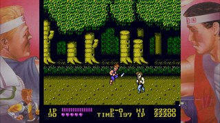 DOUBLE DRAGON screenshot 1