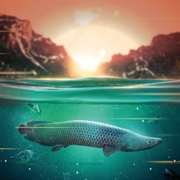 Aperçu The Catch: Carp & Coarse - Deluxe Edition