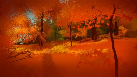 The Witness no Steam