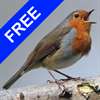 Bird Sounds Free