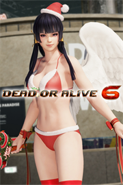 Купить ключ дешево DOA6 Бикини Санта. Нётэнгу