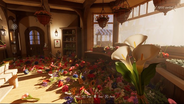 Tidy Up the Flower Shop — 5