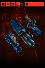 Emet Valkyrie Skin