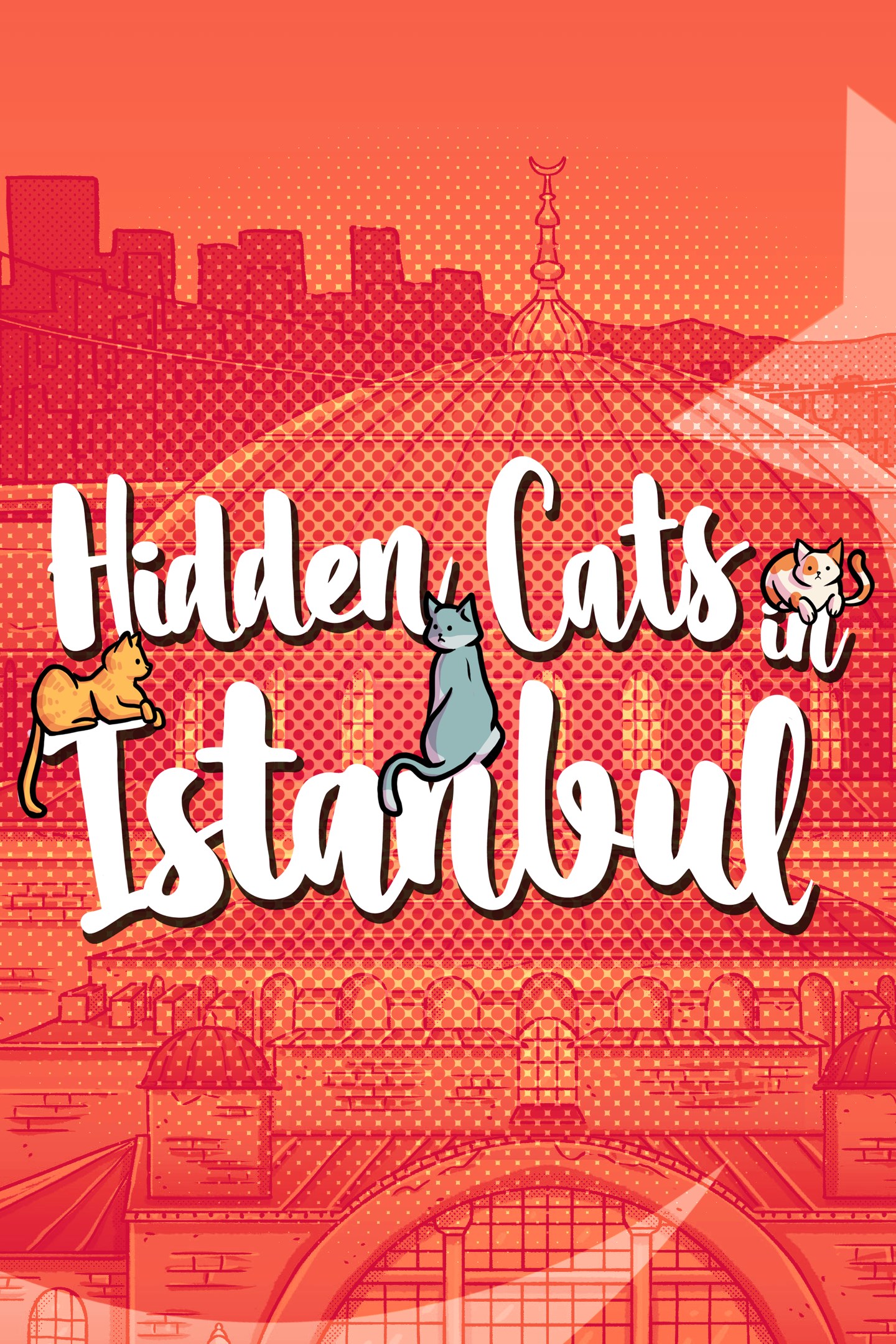 Hidden Cats in Istanbul