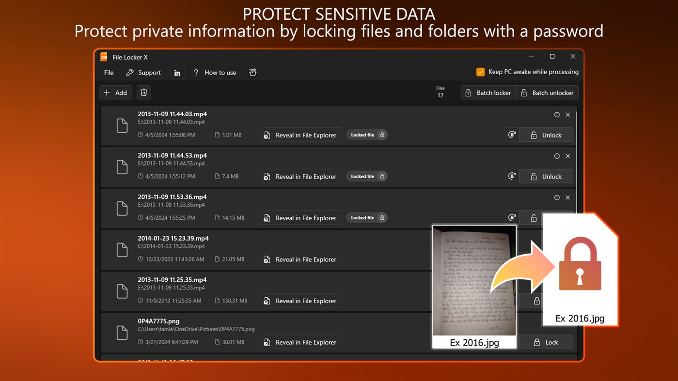 #1. File Locker X - Password Protect Files (Windows) 由: Lay Lab