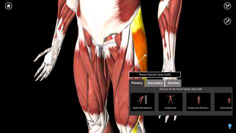 iMuscle Home Screenshots 1