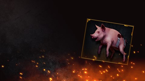 Stolen Swine