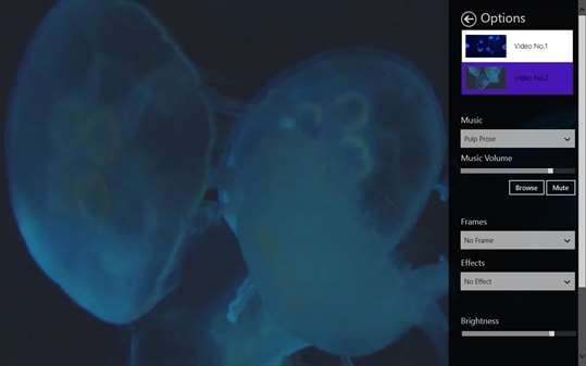 Colorful Jelly Fishes screenshot 3