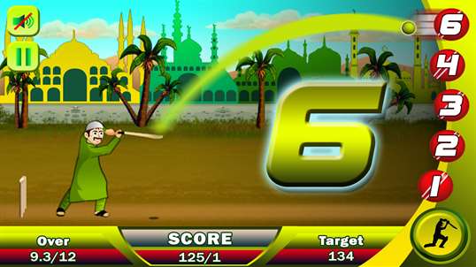 Ramzan Cricket Free screenshot 4