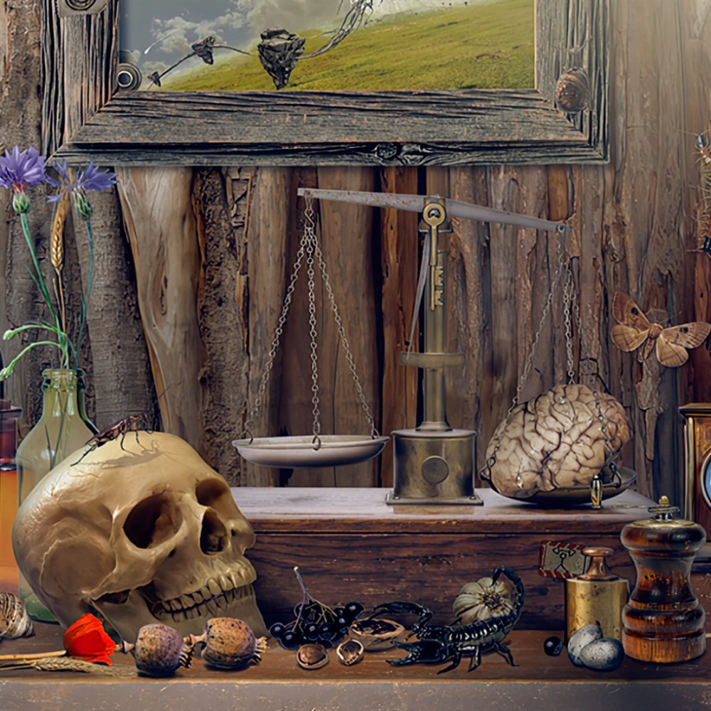 Time Trap: Hidden Objects Remastered cover art (full size)