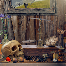 Aperçu Time Trap: Hidden Objects Remastered