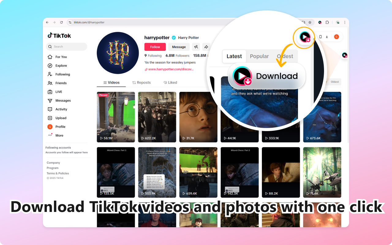TikTok Video Downloader