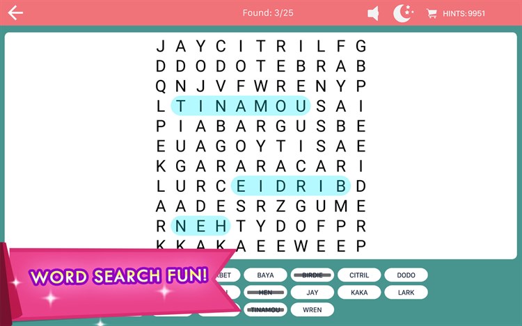 Word Search Fun! - PC - (Windows)