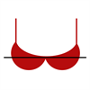 Bra Size Guide