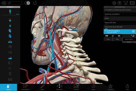Human Anatomy Atlas 2018: Complete 3D Human Body Screenshots 2