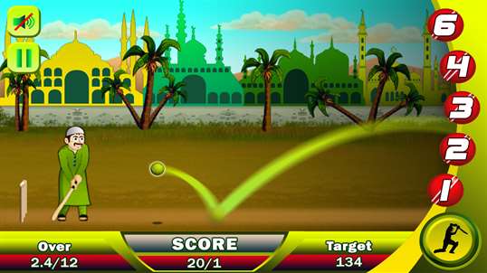 Ramzan Cricket Free screenshot 3