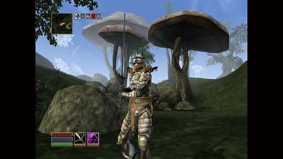 The Elder Scrolls III: Morrowind screenshot 4
