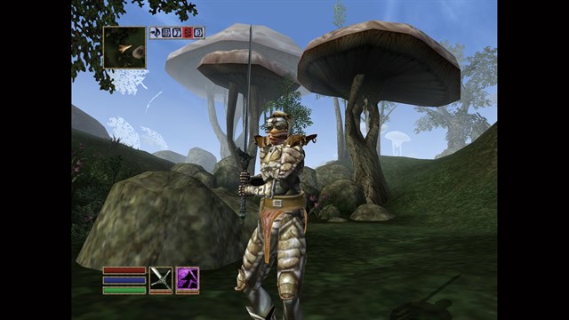 The Elder Scrolls III: Morrowind screenshot 4