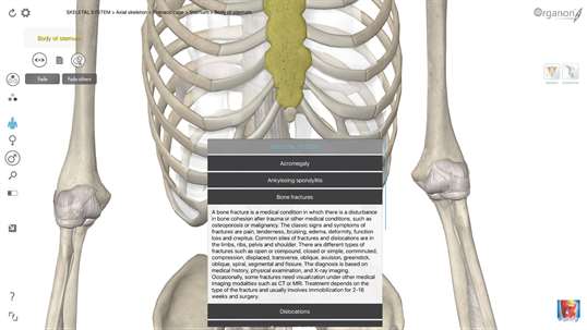 3D Organon Anatomy - Skeleton, Bones, and Ligaments screenshot 8