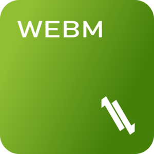 LL WebM Converter - WebM to MP4