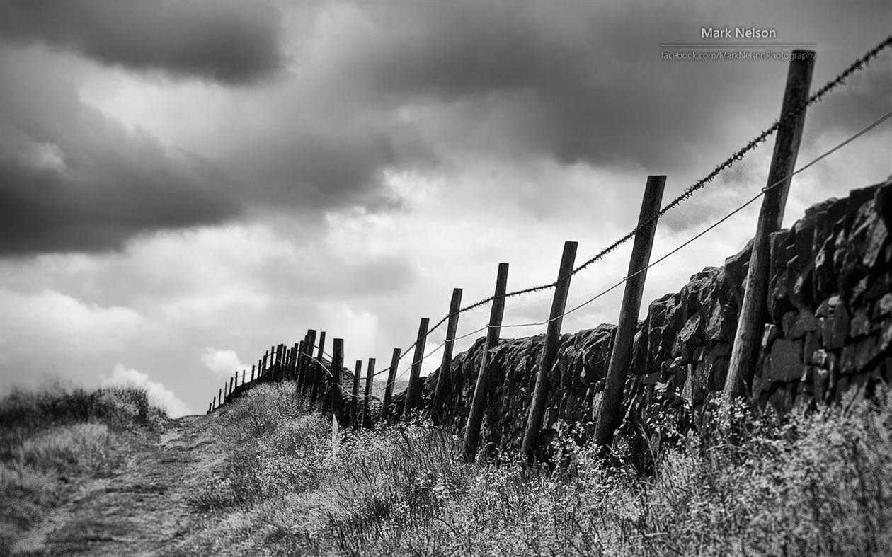 #4. Monochromatic Moods by Mark Nelson (Windows) 由: Microsoft Corporation