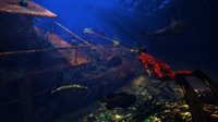 Freediving Hunter: Spearfishing the World