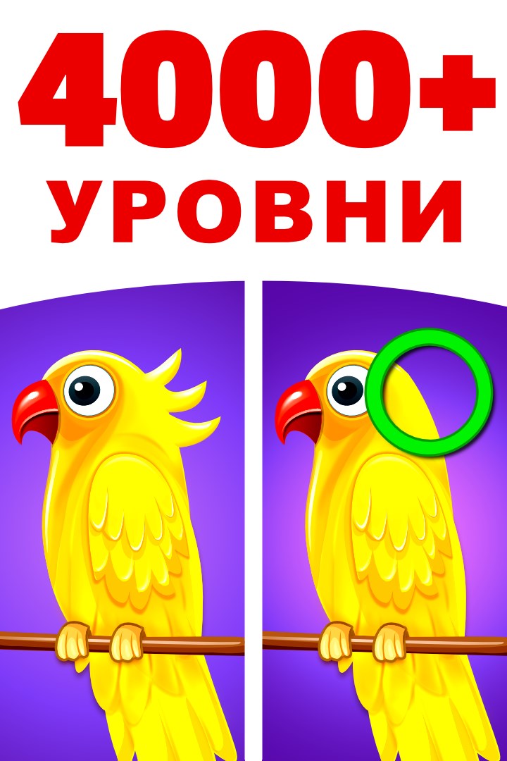 Купить ключ дешево Определите отличия