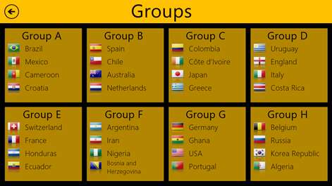 World Cup 2014 Pro Screenshots 2