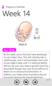 Pregnancy Calendar screenshot 3