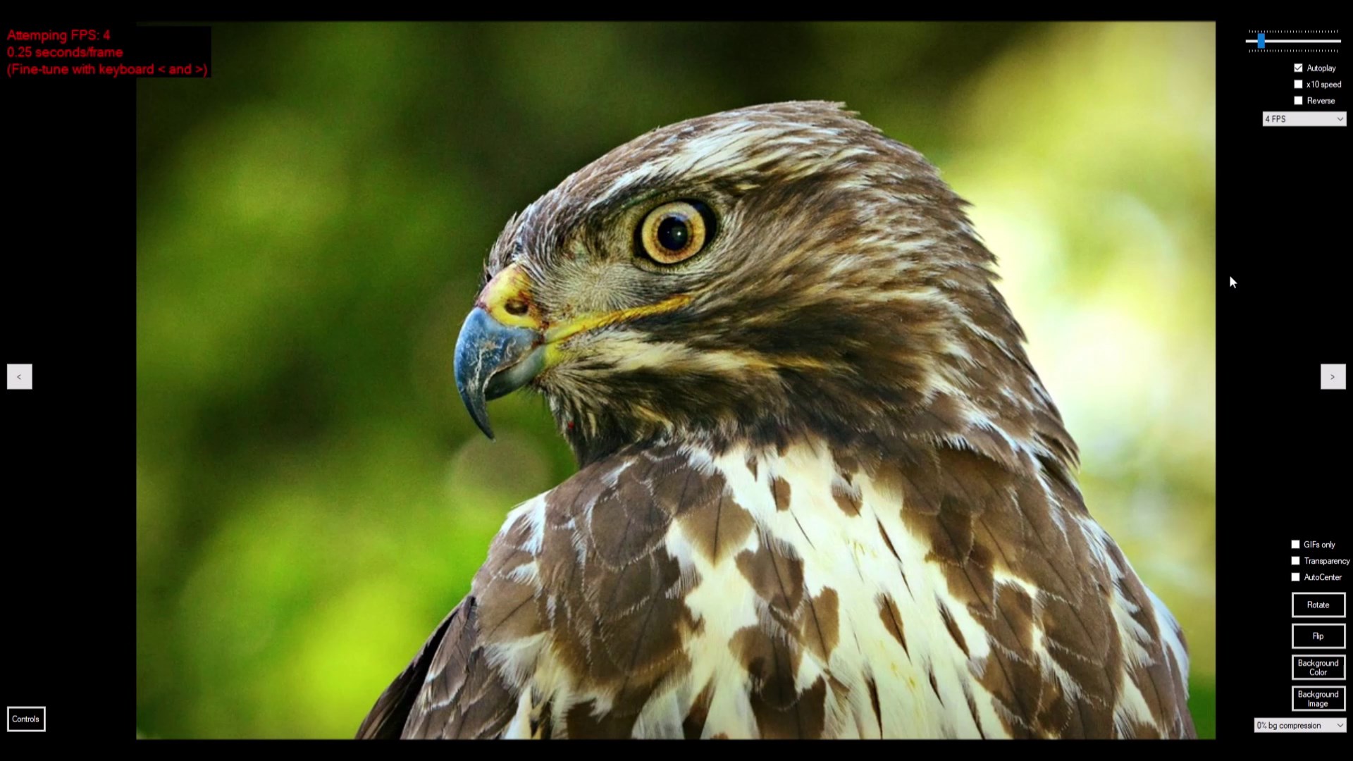 Vectormatrix Ltd Image Viewer - Descarga e instalación en Windows |  Microsoft Store, image size:1920x1080