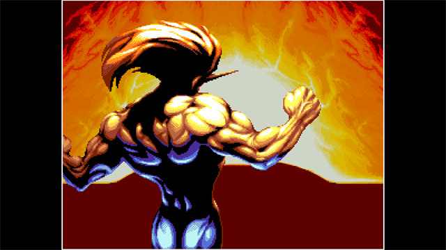 ACA NEOGEO WORLD HEROES PERFECT screenshot 1