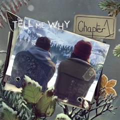 game cover art