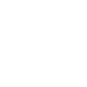 Jestor