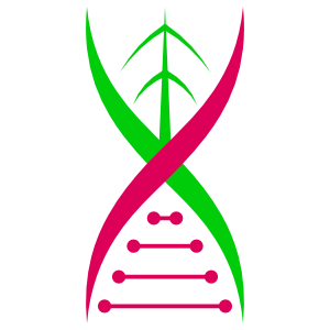 MatterSearch icon