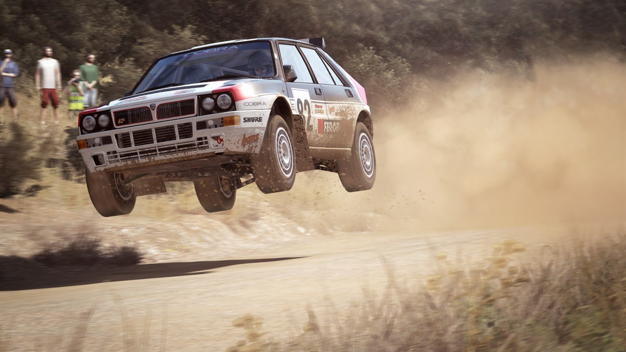 Dirt Rally screenshot 9