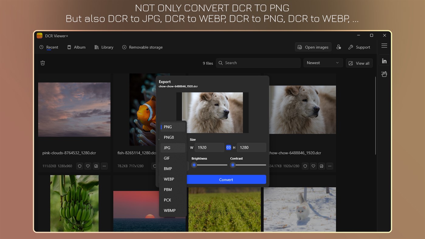 #2. DCR Viewer+ - DCR to JPG (Windows) By: IO Vision
