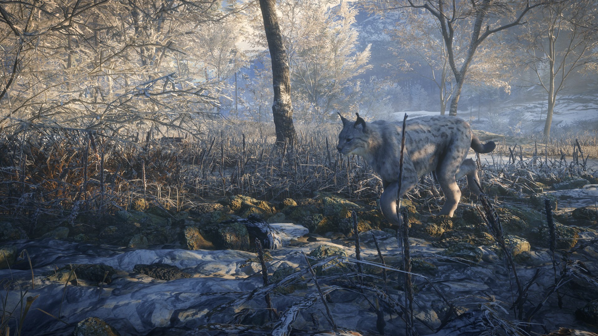 theHunter: Call of the Wild™ - Medved-Taiga - Windows 10 | Xbox | Chiave | Privato