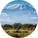 Kilimanjaro Wallpaper New Tab icon