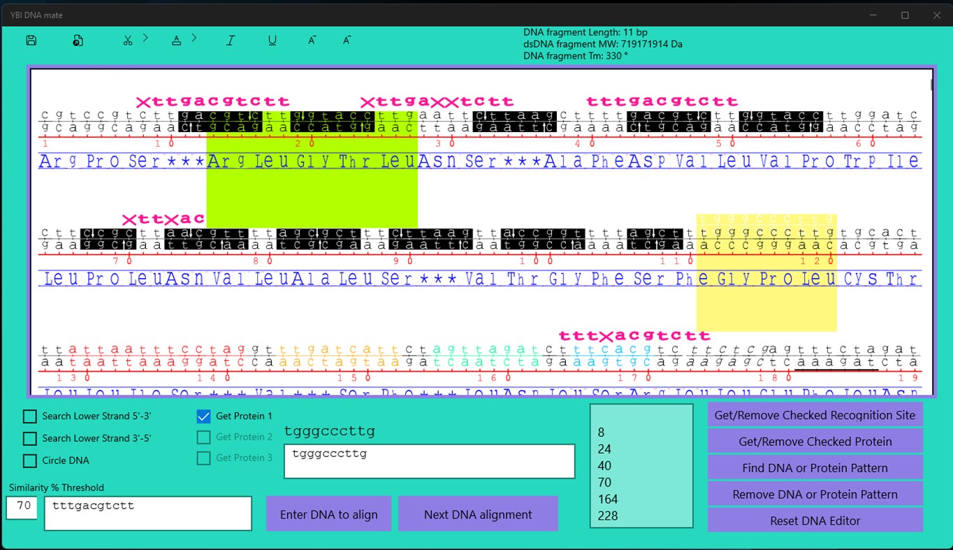 #3. YBI DNA mate (Windows) Ved: yegoris