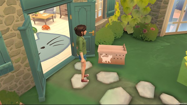 Cat Rescue Story — 1