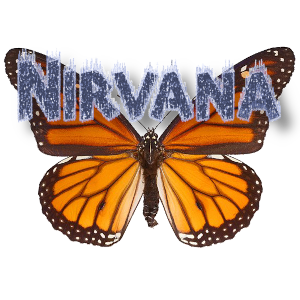Nirvana, Origin of Fate