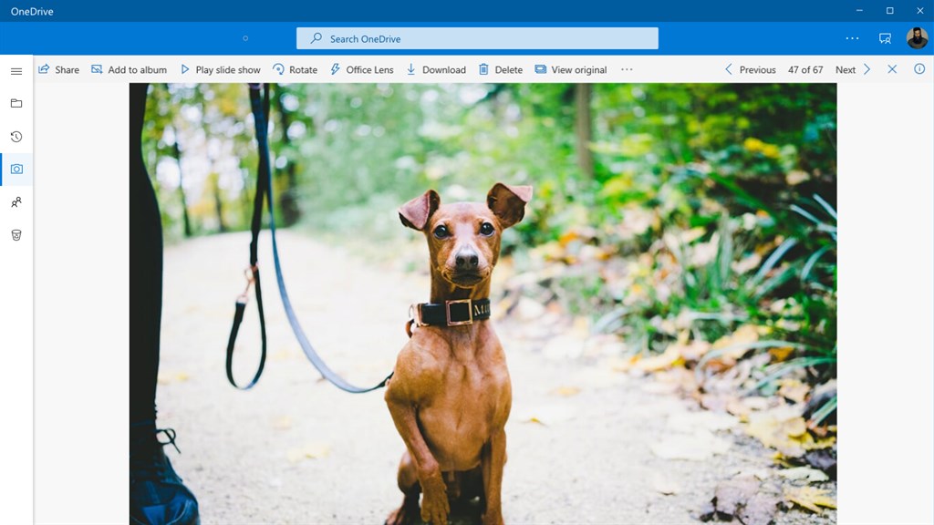 OneDrive_5