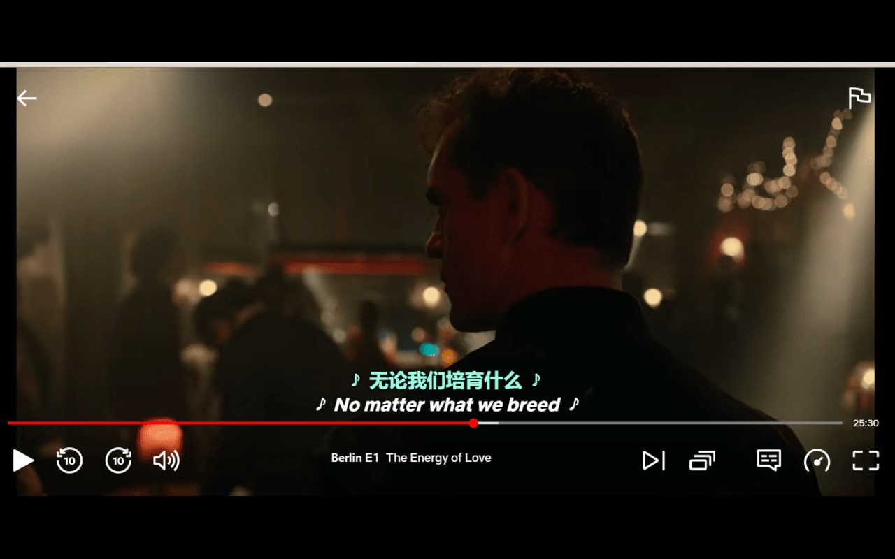 Netflix Double Subtitles