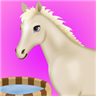 Baby Horse Care Games