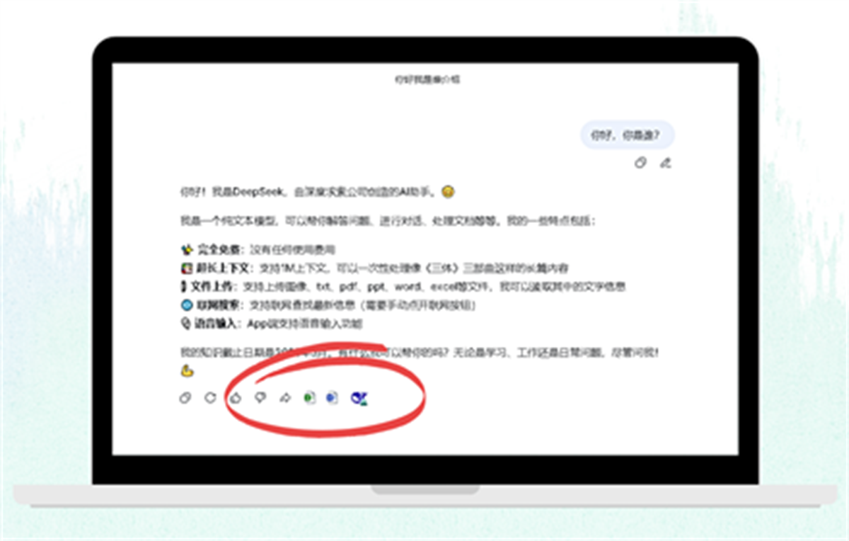 DeepSeek2Word - AI对话导出工具