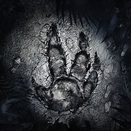 Aperçu Evolve Digital Deluxe